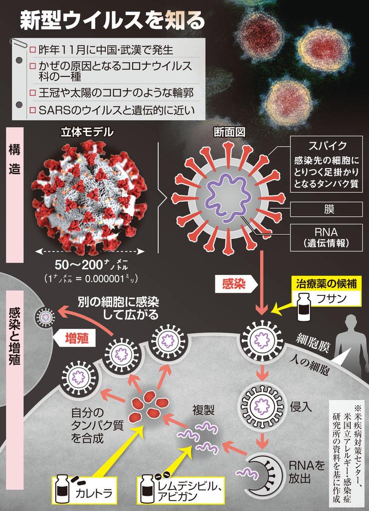 新型ウイルスを知る