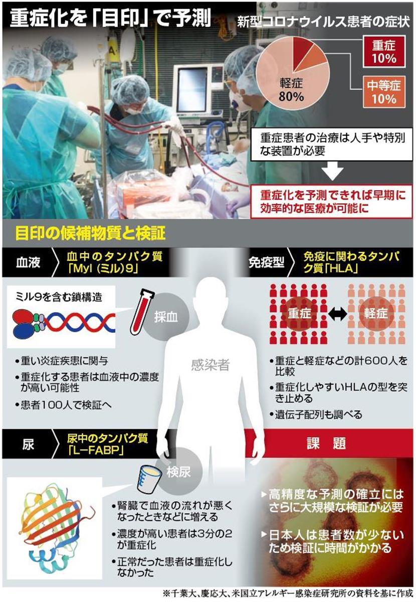 重症化を「目印」で予測