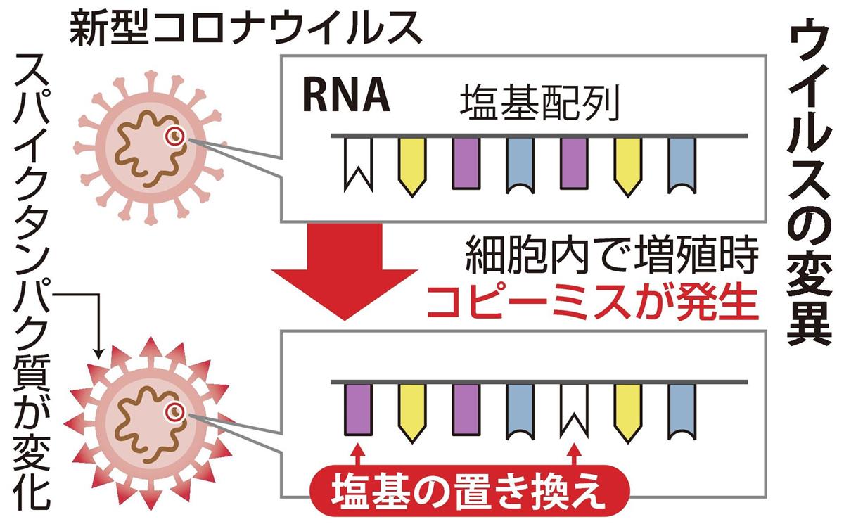 「勝ち残った」コロナ変異種…ワクチンへの影響、強毒化、若者への感染拡大懸念を探る - 産経ニュース