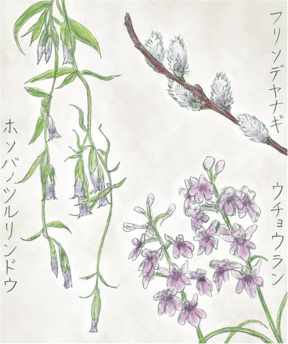 画=井田智康