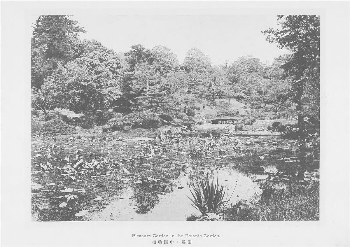 美子皇后と節子妃が散策した明治時代の小石川植物園=小川一真編「東京帝国大学.明33」から(国立国会図書館所蔵)