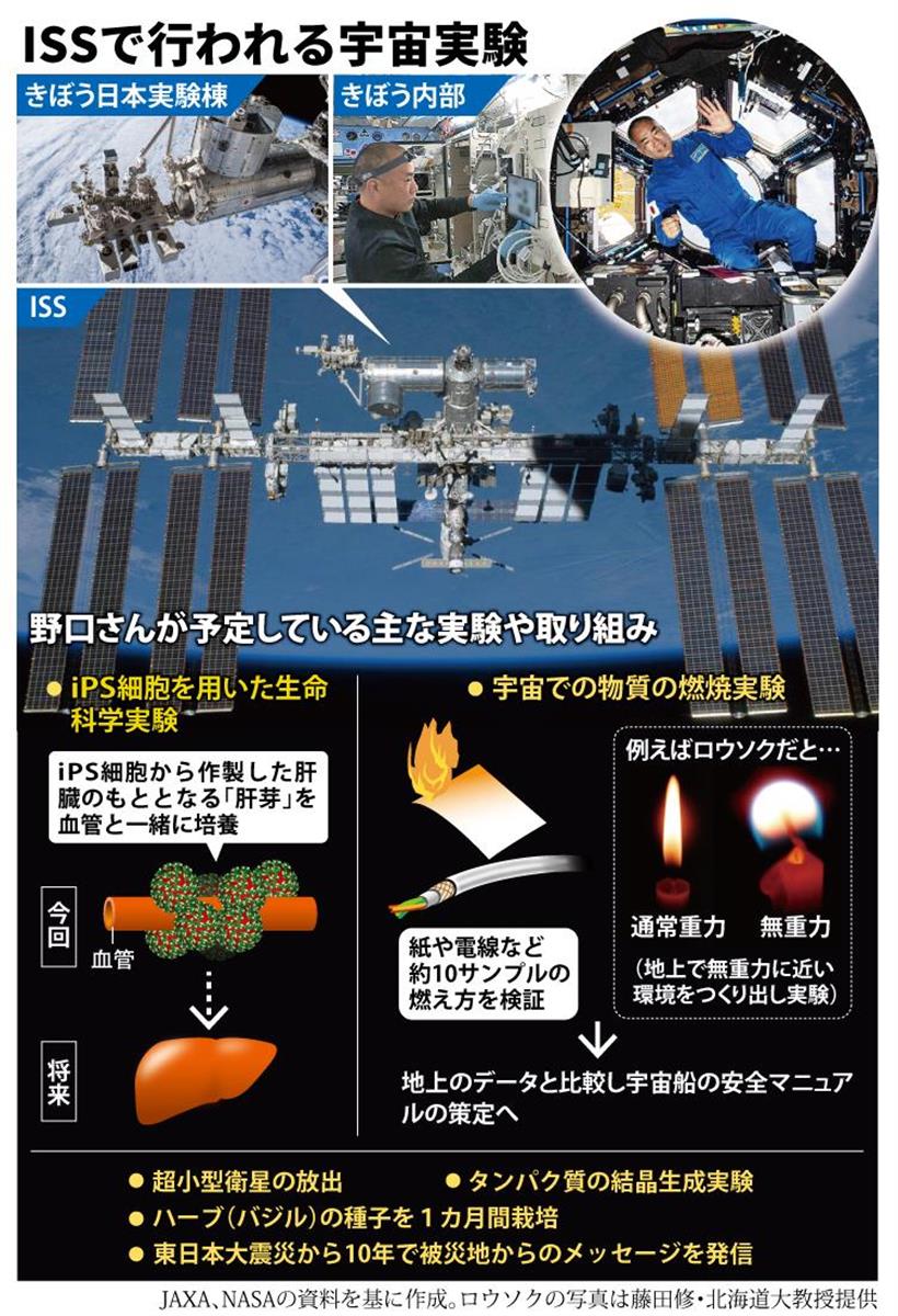 ISSで行われる宇宙実験