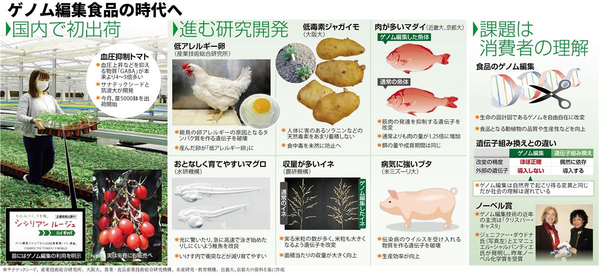 ゲノム編集食品の時代へ