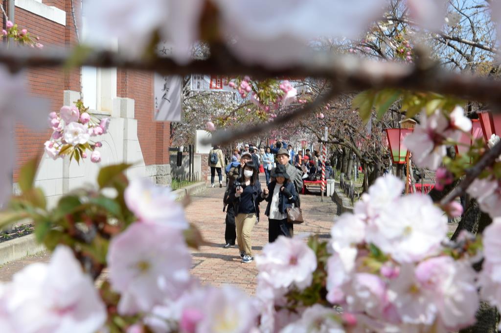 「桜の通り抜け」の一般公開の前に開かれた造幣局の「特別観桜会」=平成31年4月8日午前、大阪市北区の大阪造幣局(南雲都撮影)