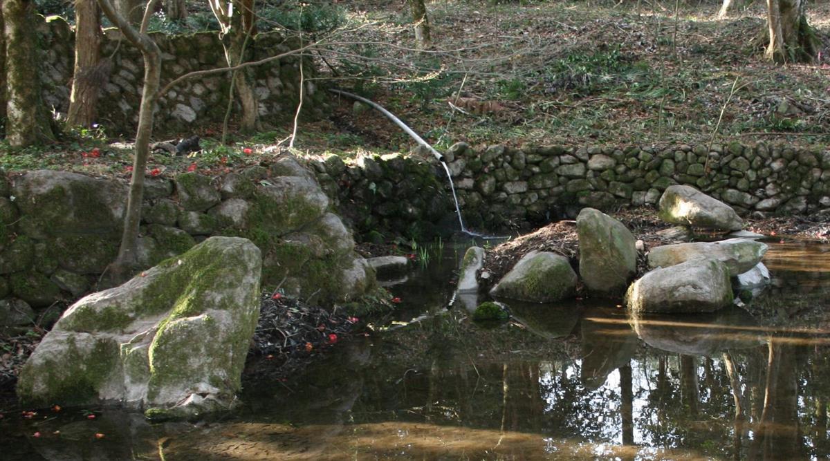 発見された池の中で見つかった石組み=令和3年3月、鳥取市